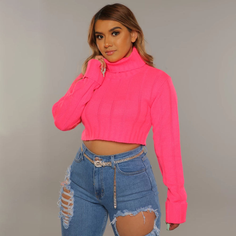 Women's Knitted Turtleneck Long Sleeve Top Short