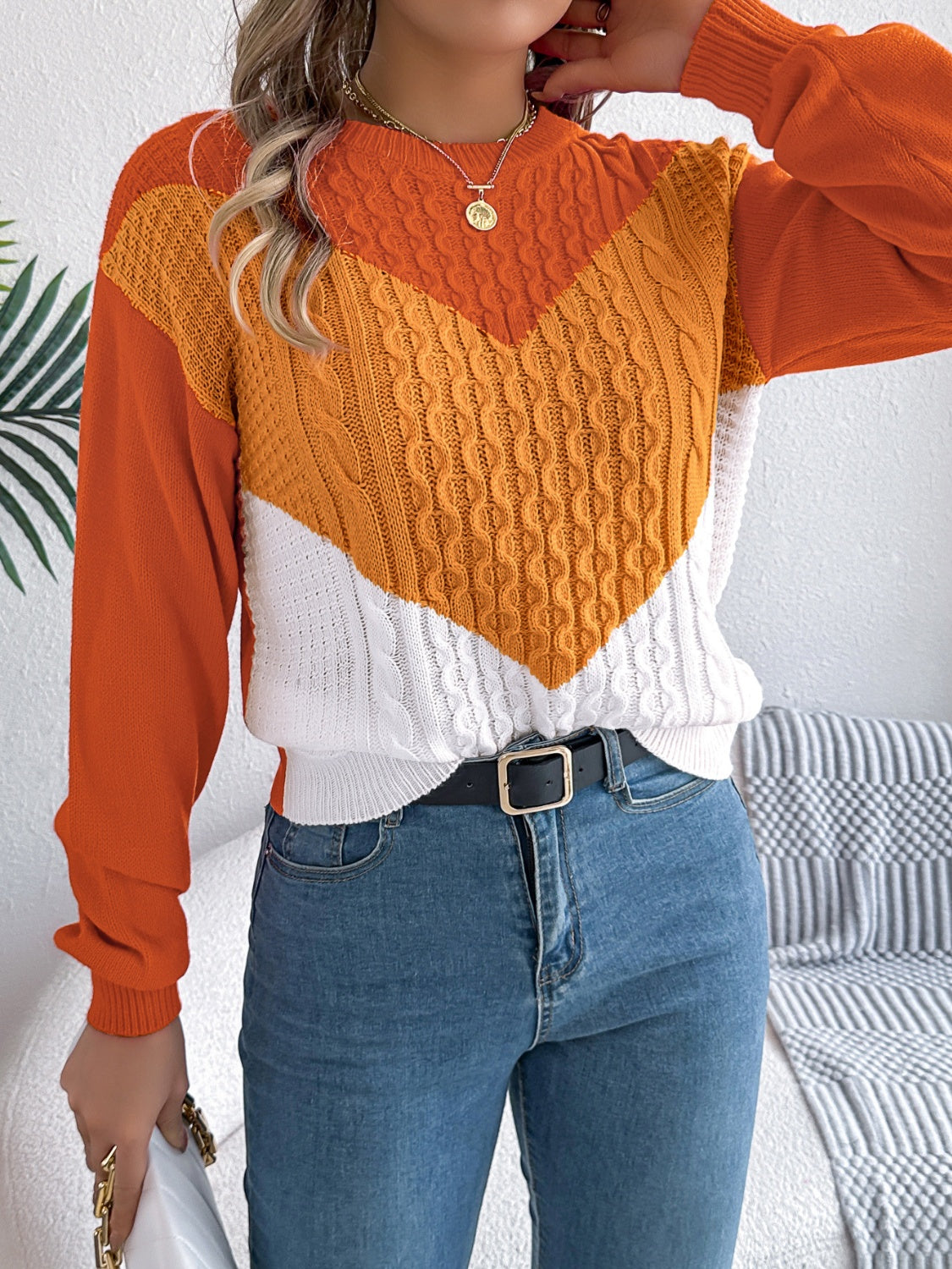 Contrast Round Neck Long Sleeve Sweater.