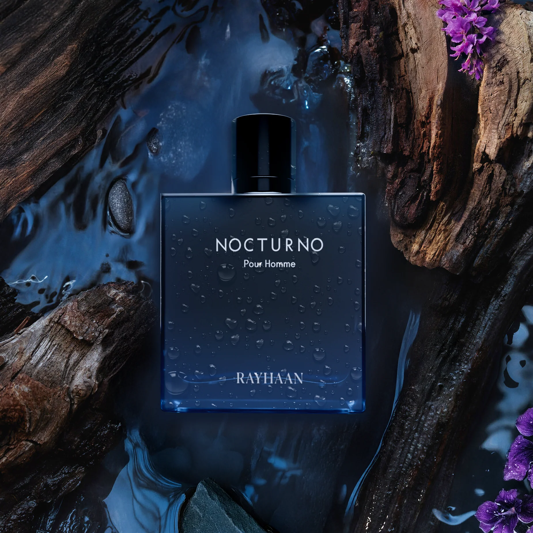 Nocturno - Image 5