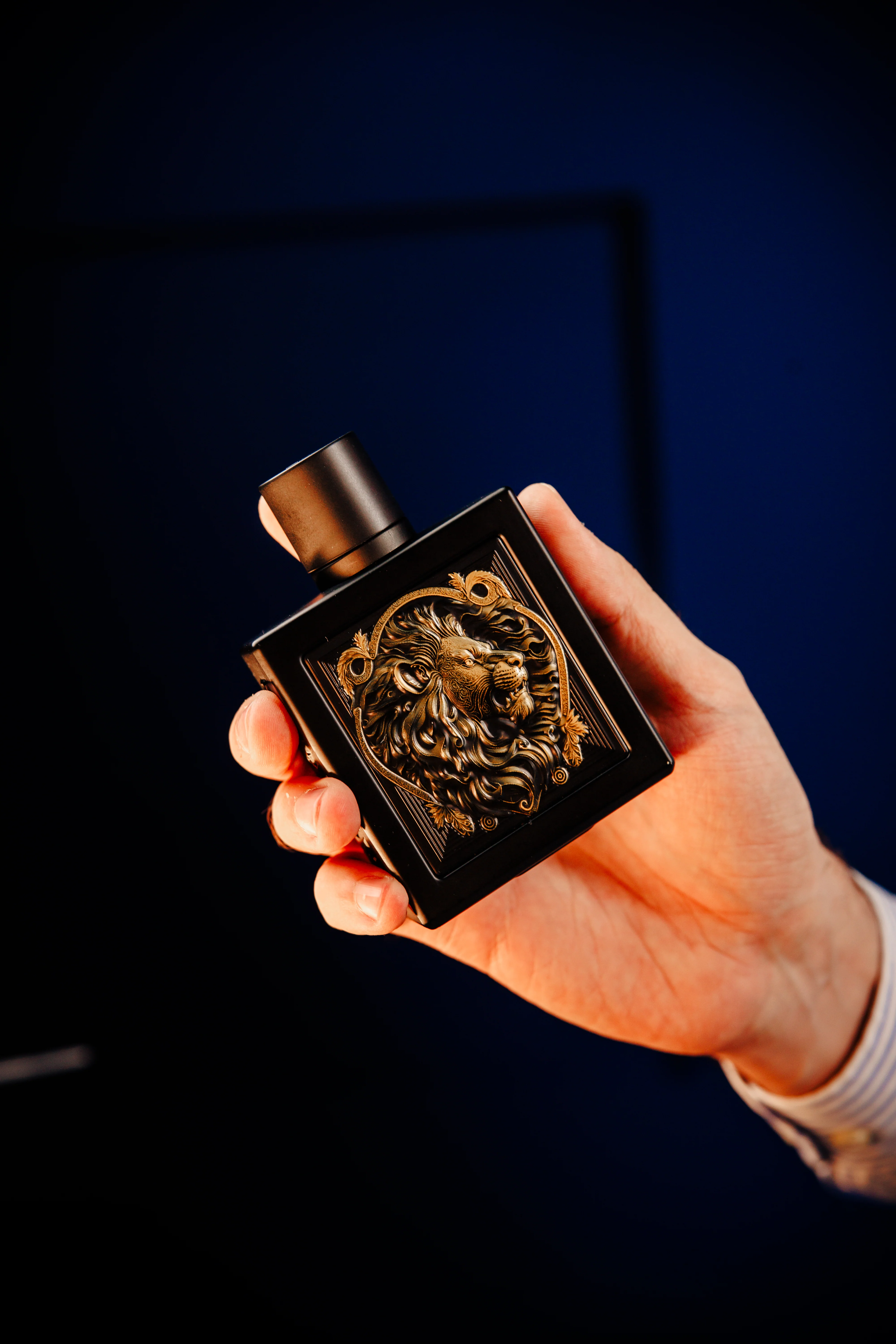 Rayhaan Lion - Image 4