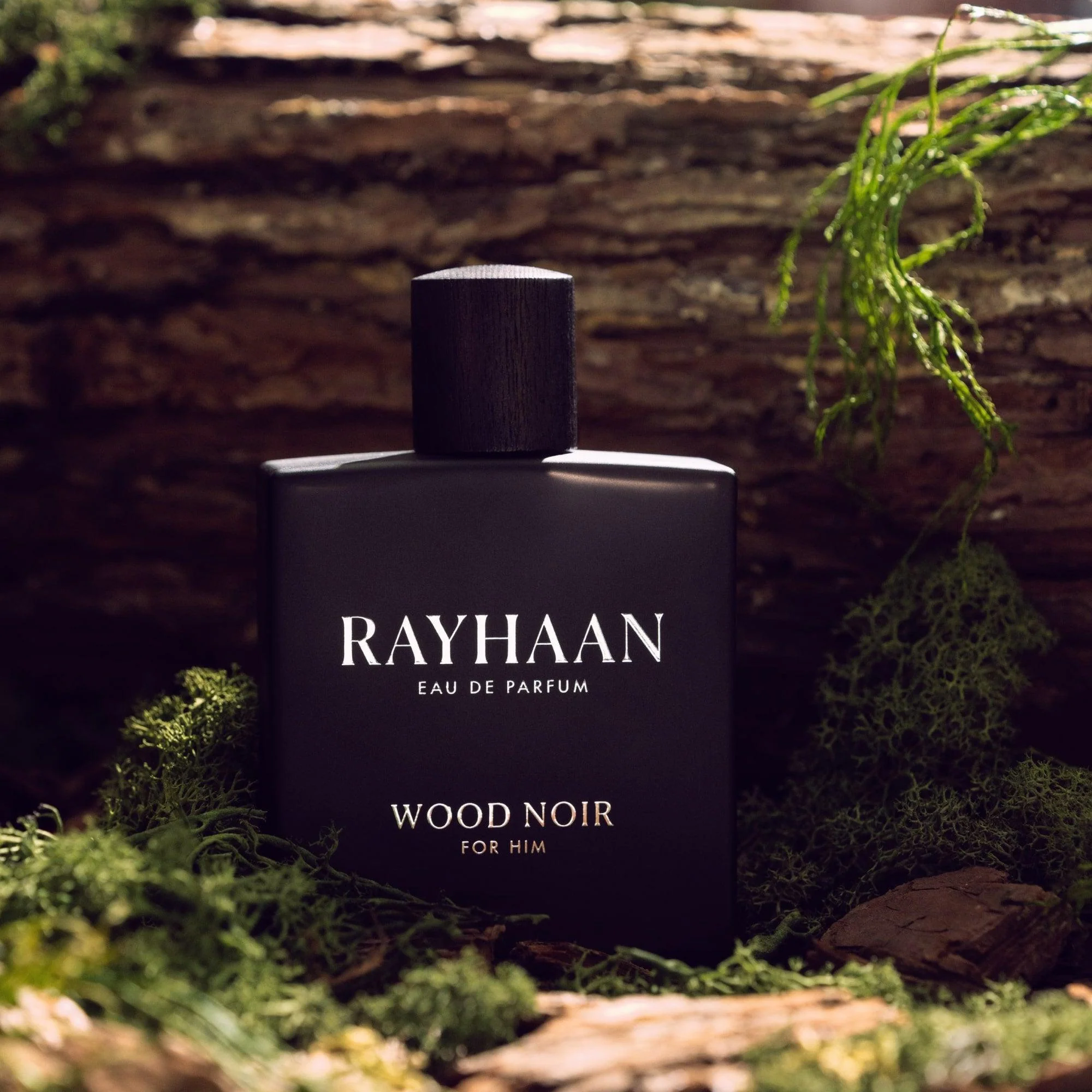Wood Noir - Image 5